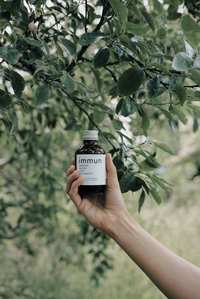 JUKSEREI KRUUT · IMMUNE OXYMEL 150ML Online Outlet