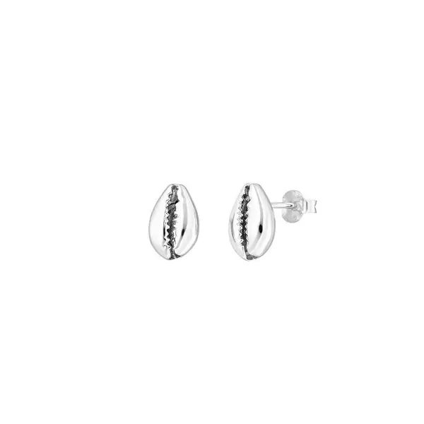 Leaf Jewelry Ohrstecker Cowrie Shell, 925 Sterlingsilber Neueste Mode