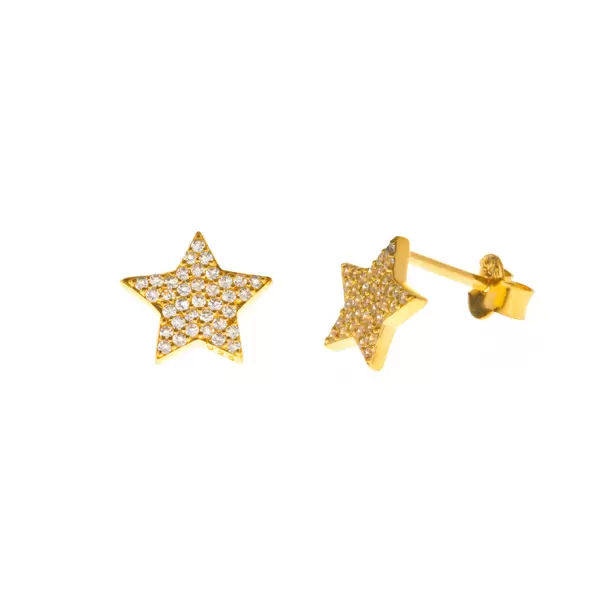 Leaf Jewelry Ohrstecker Stern mit Zirkonia, 18 K Gelbgold vergoldet Weihnachtsangebot