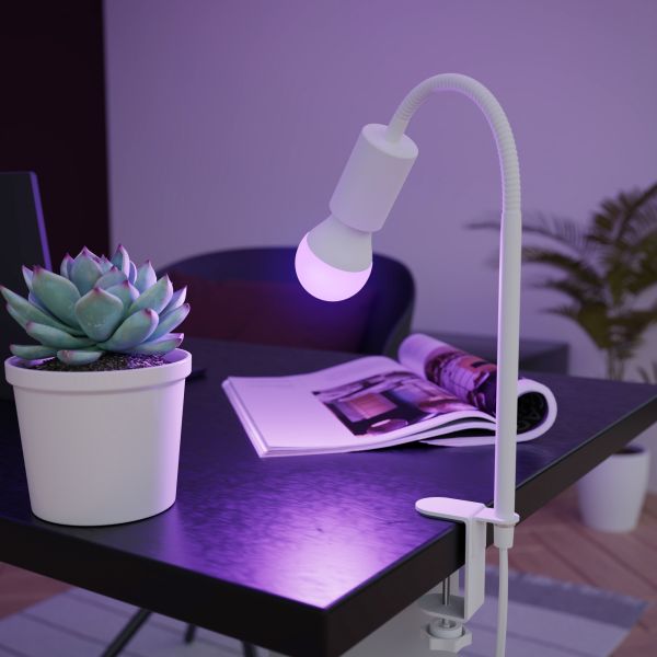 E27 LED RGB Leuchtmittel, A60, warmweiß - kaltweiß (3000 - 6500 K), 9,4 W, 892lm, Smart Home, WLAN, Alexa, matt Hotsell