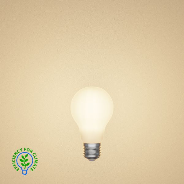 E27 LED Leuchtmittel, A60, Energieeffizienzklasse A, gefrostet (Lichtfarbe wählbar) Fabrikverkauf