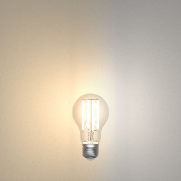 E27 LED Leuchtmittel, A60, warmweiß - kaltweiß (2700 - 6700 K), 7 W, 1005lm, Smart Home, WLAN, Alexa Fabrikpreis
