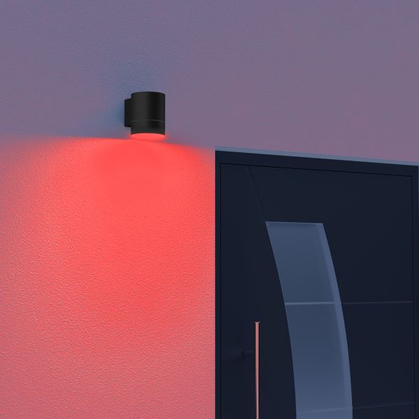 Smart Home Wandleuchte BIDO für außen, Aluminium Downlight + LED-Lampe Alexa, dimmbar, Farbtemperatur steuerbar (Farbe, Leuchtmittel wählbar) Kostenloser Versand
