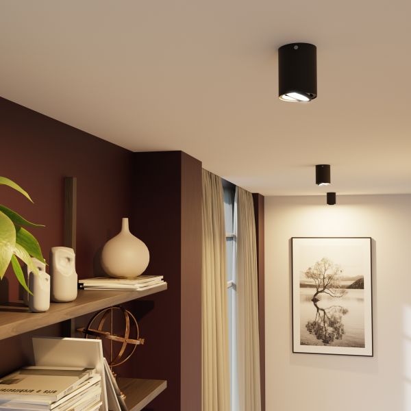 Deckenleuchte DEJO, 80mm Ø + GU10 Smart Home RGBW LED 473lm (Farbe wählbar) VIP-Rabatte