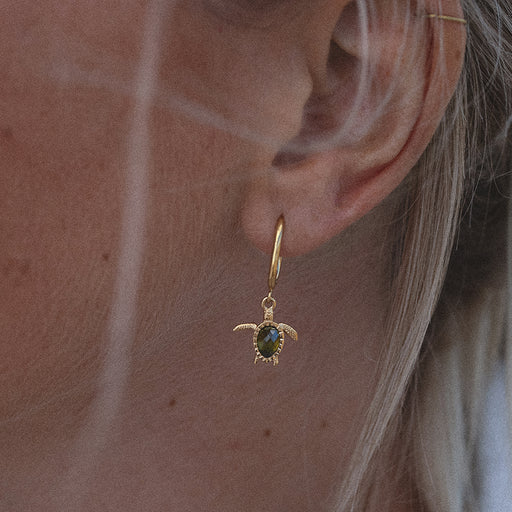 Paul Hewitt Turtle Hoops Ohrring Gold zollfrei