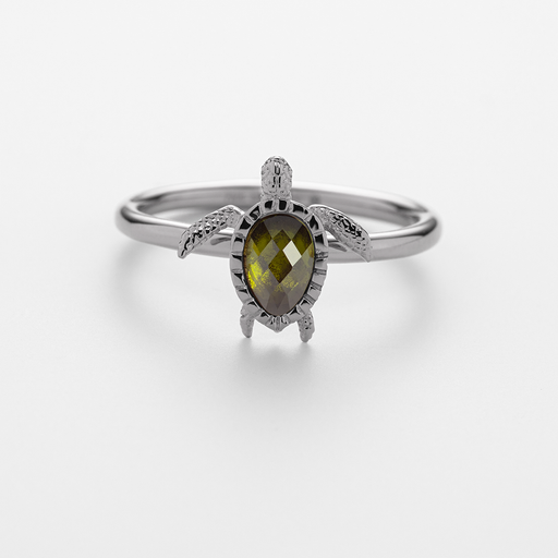 Paul Hewitt Turtle Ring Silber Limitierter Zeitrabatt