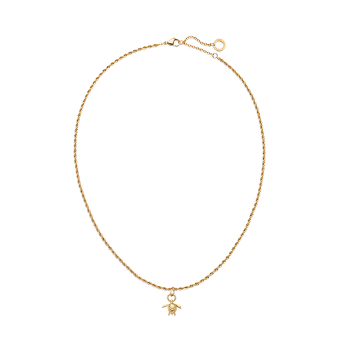 Paul Hewitt Set Turtle Charm und Halskette Gold Zeitlich begrenztes Angebot
