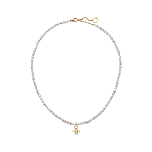 Paul Hewitt Set Turtle Charm und Halskette Gold Zeitlich begrenztes Angebot