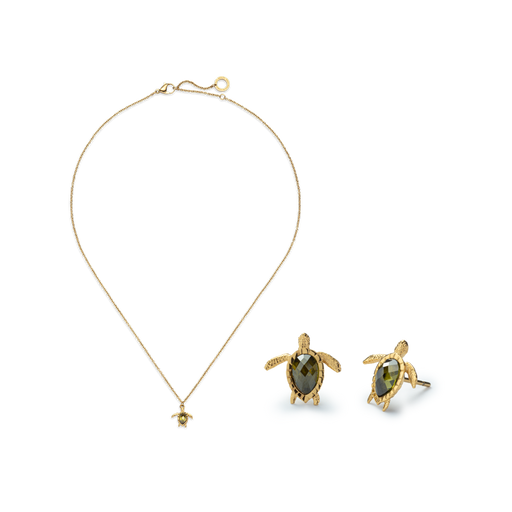 Paul Hewitt Set Turtle III Gold Neueste Stile