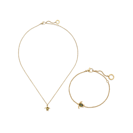 Paul Hewitt Set Turtle IV Gold Letzte 2 Tage