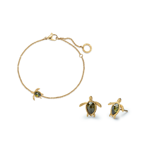 Paul Hewitt Set Turtle V Gold Letzter Tag