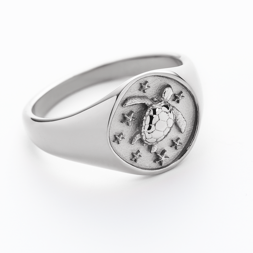 Paul Hewitt Turtle Signet Ring Silber Begrenztes Angebot