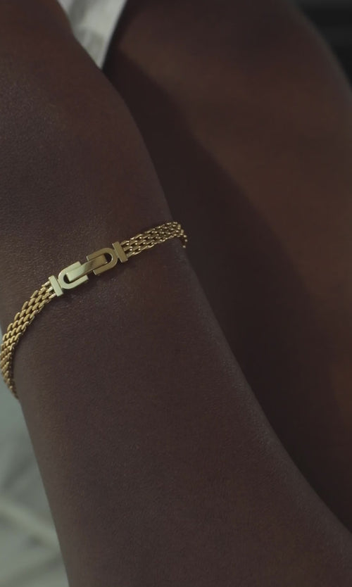 Paul Valentine Mesh Bracelet Nur für heute