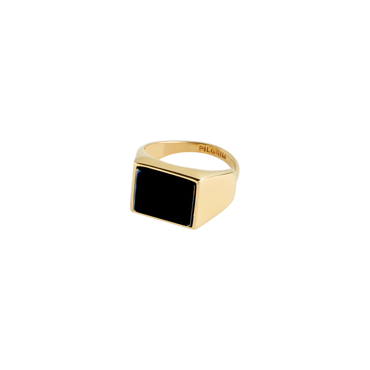 Pilgrim CASE recycelter Siegelring vergoldet Black Friday Preise