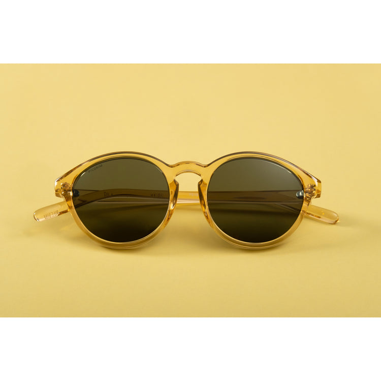 Pilgrim VASILIA Sonnenbrille transparent braun Exklusivangebot