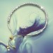Silberdream SilberDream Armband Perlen diamantiert 925er Sterling Silber Damen SDA7004T Super Rabatt