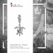 Silberdream SilberDream 925 Charm Seeschildkröte Armband Anhänger FC1002 Begrenztes Angebot